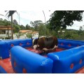 Aluguel Touro Mecânico